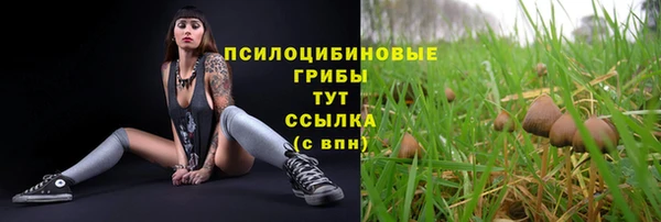 твердый Беломорск