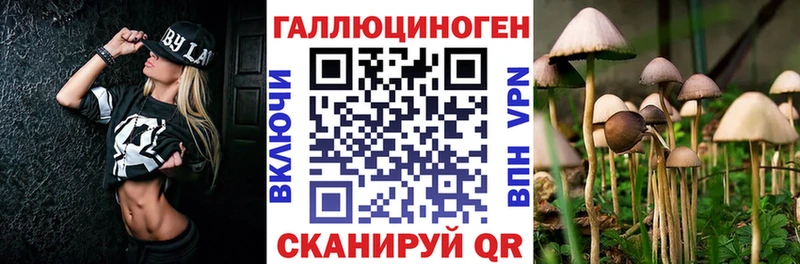 Псилоцибиновые грибы MAGIC MUSHROOMS  дарк нет состав  Облучье 