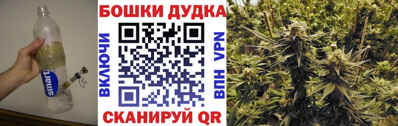 где найти наркотики  Облучье  Конопля тримм 